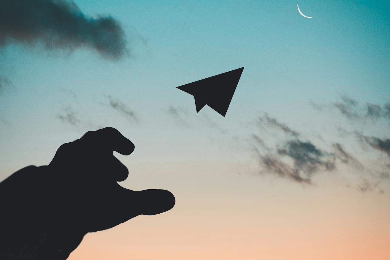 Photo by Rakicevic Nenad: https://www.pexels.com/photo/silhouette-photo-of-man-throw-paper-plane-1262304/