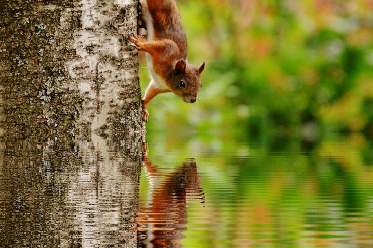 Photo by Pixabay: https://www.pexels.com/photo/three-female-dancers-dancing-209948/